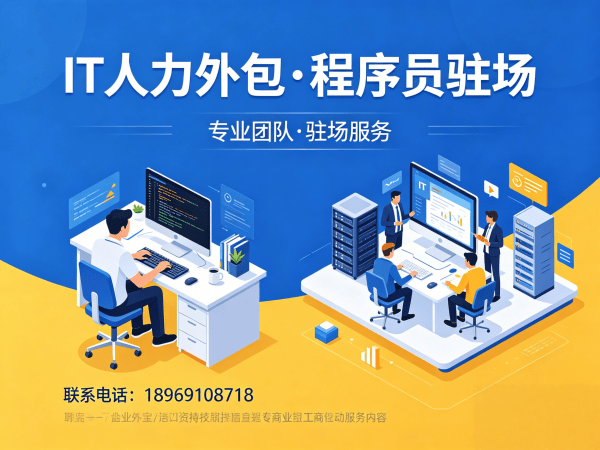 南京IT人力外包解决方案：大数据开发程序员驻场服务如何破解企业技术人才难题