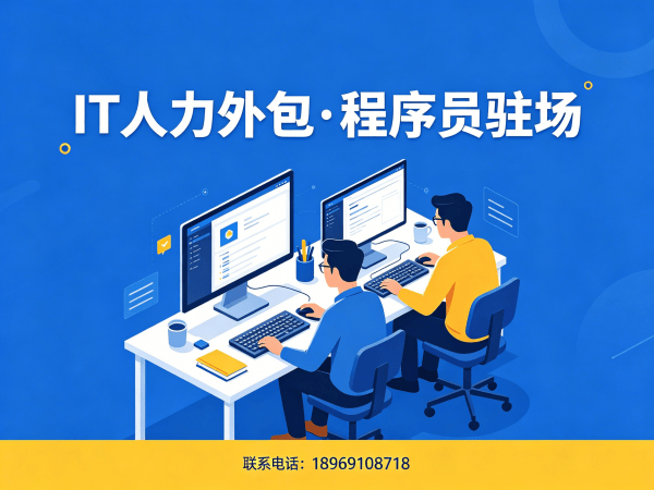 武汉IT人力外包解决方案：安卓开发程序员外包助力企业高效用人
