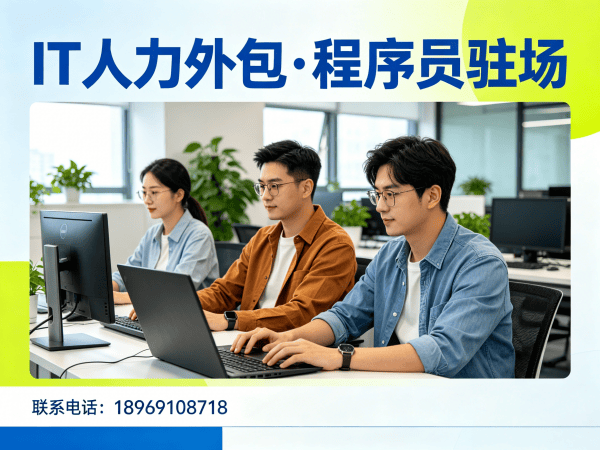 苏州IT人力外包解决方案：项目经理程序员驻场开发快速响应技术团队搭建