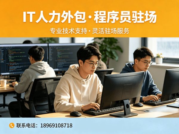 宁波IT人力外包解决方案：后端开发程序员驻场服务助力企业高效发展